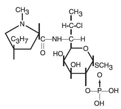 Image Of Chemical Structure (Chemical Structure)